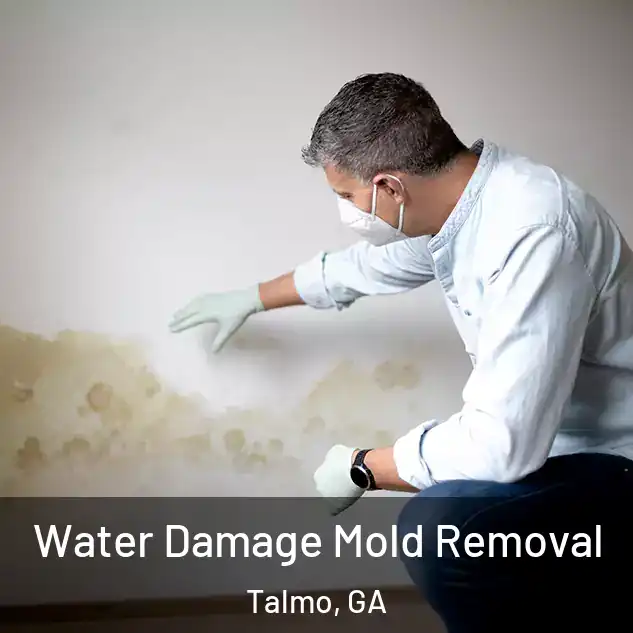  Water Damage Mold Removal Talmo, GA