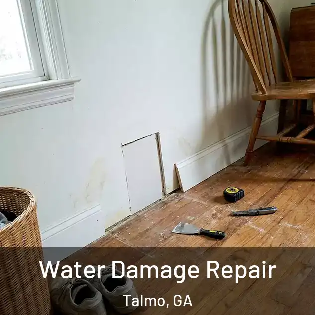  Water Damage Repair Talmo, GA