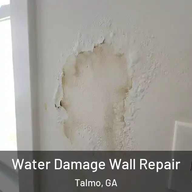  Water Damage Wall Repair Talmo, GA