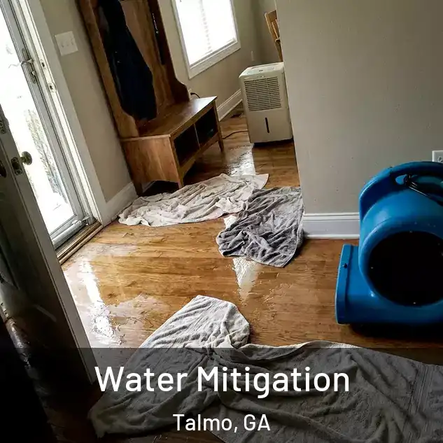  Water Mitigation Talmo, GA