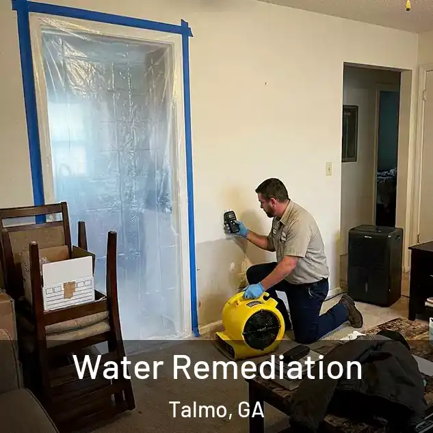  Water Remediation Talmo, GA