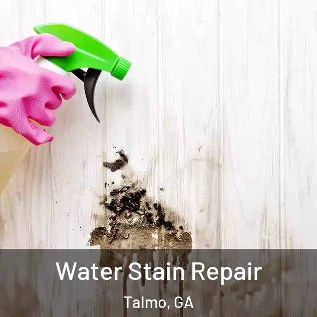  Water Stain Repair Talmo, GA