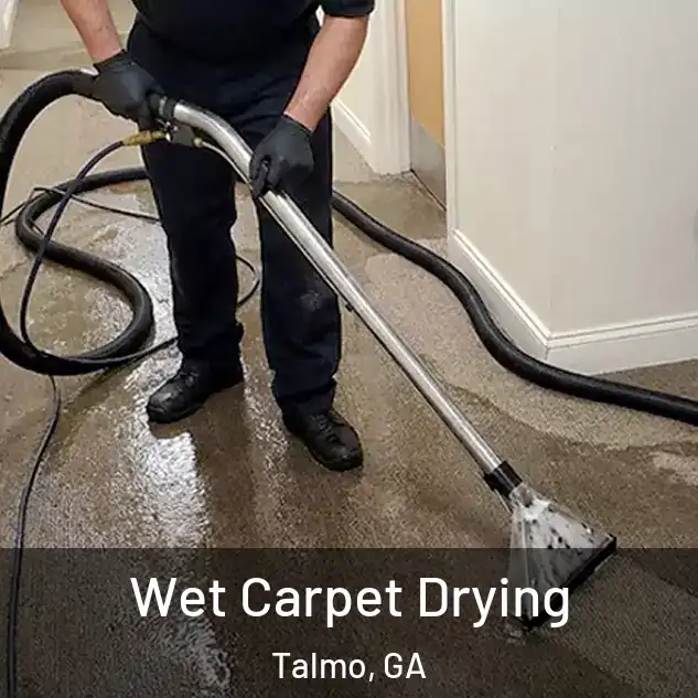  Wet Carpet Drying Talmo, GA