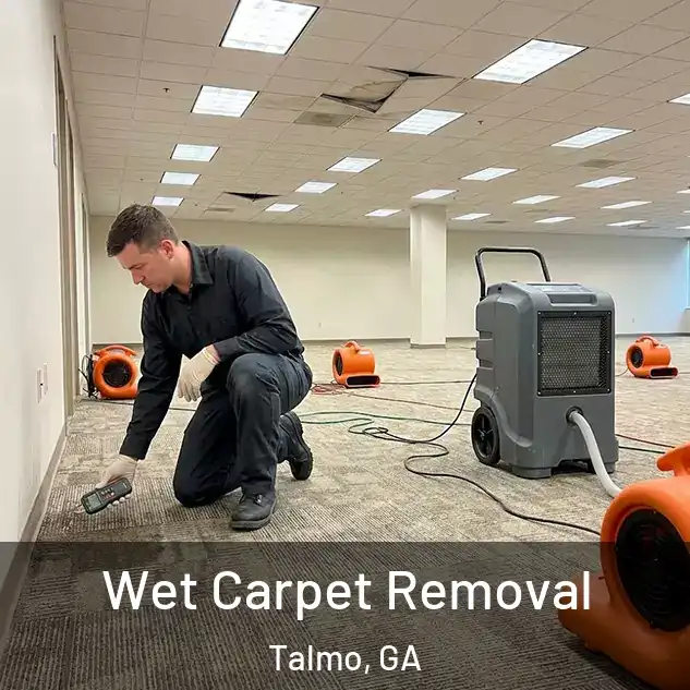  Wet Carpet Removal Talmo, GA